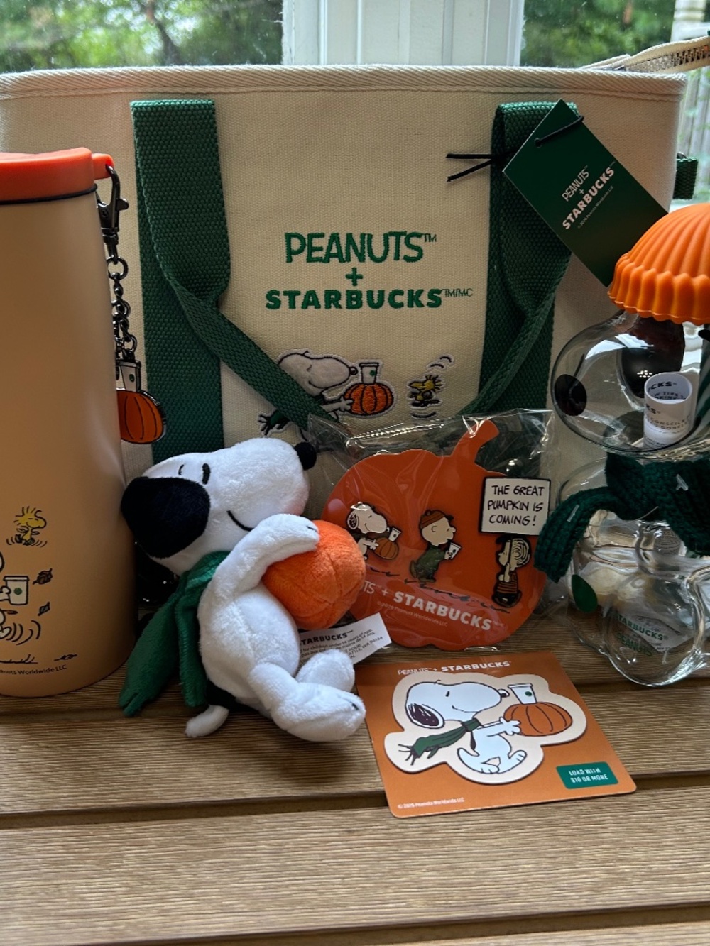 Starbucks x Peanuts Snoopy Pumpkin Fall Bundle Tumbler Glass Tote Pins NWT